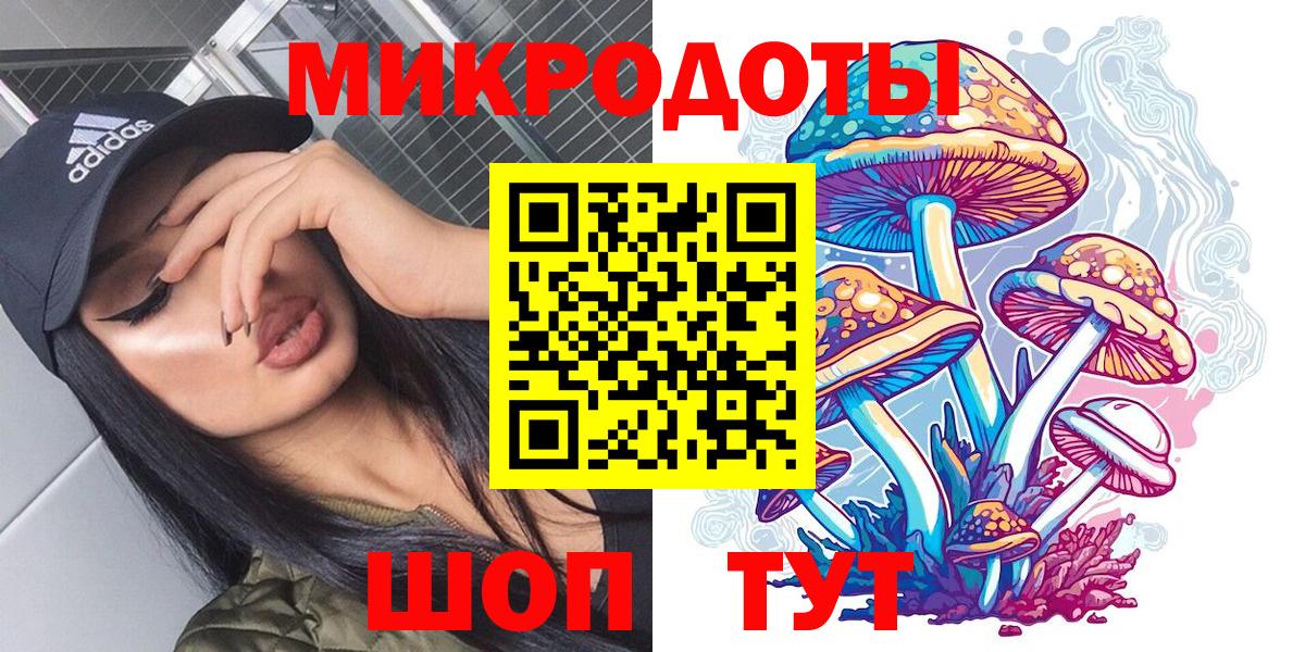 Псилоцибиновые грибы GOLDEN TEACHER Тольятти