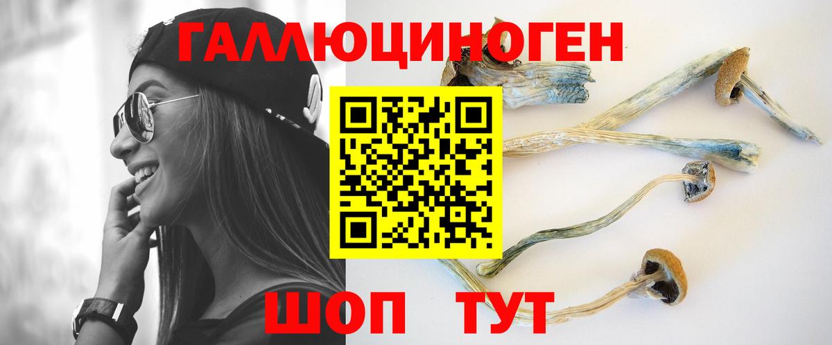 закладки  Псилоцибиновые грибы Psilocybine cubensis  Вход с VPN  Тольятти 